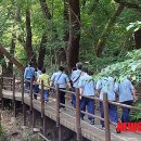 둔내캠프 이미지