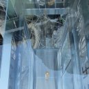 금강(부산) 이미지