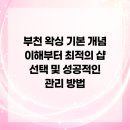 부천 왁싱 기본 개념 이해부터 최적의 샵 선택 및 성공적인 관리 방법