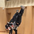 태화초등학교병설유치원 이미지