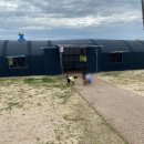 워킹애니멀스쿨 이미지