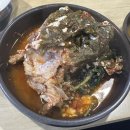 01-94 동구 | #01 2025.01 도리의 일상(1)