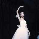 유니버설발레단 지젤 이미지