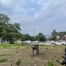 뽀그리멍 이미지