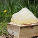 아이스크림365 이미지