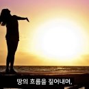 기미일주 -노래영상/형,충을 필요로 함 이미지
