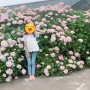 성이시돌젊음의집 이미지