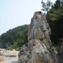 불루모아 이미지