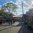 (주)거대마루 | 가평 아침고요수목원 단풍 국화축제 가을꽃 여행 서울근교 힐링코스