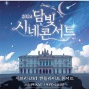 담빛시네콘서트 이미지