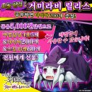 주식회사 거미 이미지
