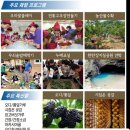 교동장독대마을 이미지