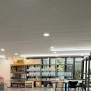 원주브리딩 | 원주파충류샵 보스게코 방문 후기 납테일, 펫테일 실물 영접하고 크레스티드게코 상담까지!