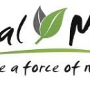 옵티멀 무브 이미지