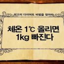슈퍼점핑다이어트 이미지