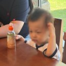 자연과 공간 | 경산 감성 브런치 카페 '안팎(Anpark)' 방문 후기-자연과 건축이 어우러진 힐링 공간