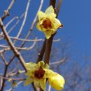 대연수목전시원 이미지