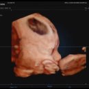 웰하이여성아동병원 이미지