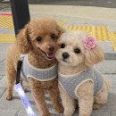 남산애 산에 | 1월