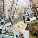 봉산한의원 이미지