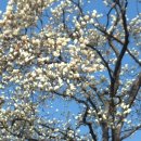 성심여자중학교 이미지