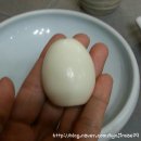 고센 농장 | [남양주 와부읍 토종닭] 고센 씨암닭
