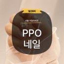 리유르네일 | [일산] 백석동 네일 아트 추천 이원장댁 피피오네일 PPO네일 이달의 아트 후기