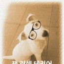 루카농장 이미지