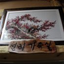 한조민박 Daum카페