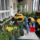 하귀농업협동조합 동부지점 이미지