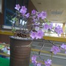 옥과고등학교 이미지