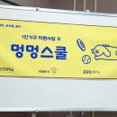 멍멍스쿨 이미지