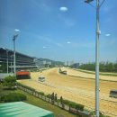 공원카센타 | 과천 경마공원, 아이와 체험 A to Z (+투어신청 팁)