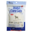 이로운 강아지 이미지