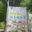 버섯골이슬비가든