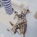 프리펫시티 이미지