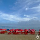 신지명사십리해수욕장 이미지