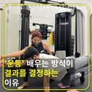 스포니스 잠실새내점 | 잠실동헬스 스포니스 잠실새내점 PT&amp;헬스 피티 추천