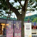 궁중음식문화재단 | 명소 가볼만한곳 화성행궁 야간개장 달빛화담 | 입장료, 주차, 소요시간, 방문꿀팁, 밤나들이 후기 총정리