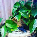 신원로1 이미지