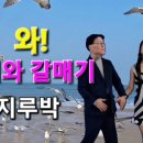 실버사교댄스 이미지