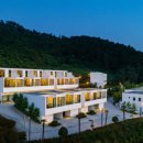 오호락2 이미지