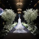 하얀파크 이미지