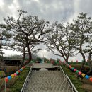 보련약수터 이미지