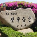 철쭉공원 화장실(동산) 이미지