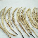 금전농장 이미지