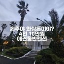 제주 와싱톤 | 가성비 4인10만원 제주애견동반펜션 와싱톤