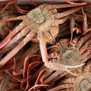 덕성호수산 이미지