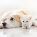 네한유통 이미지