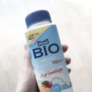 [일상] 봄이다 :)